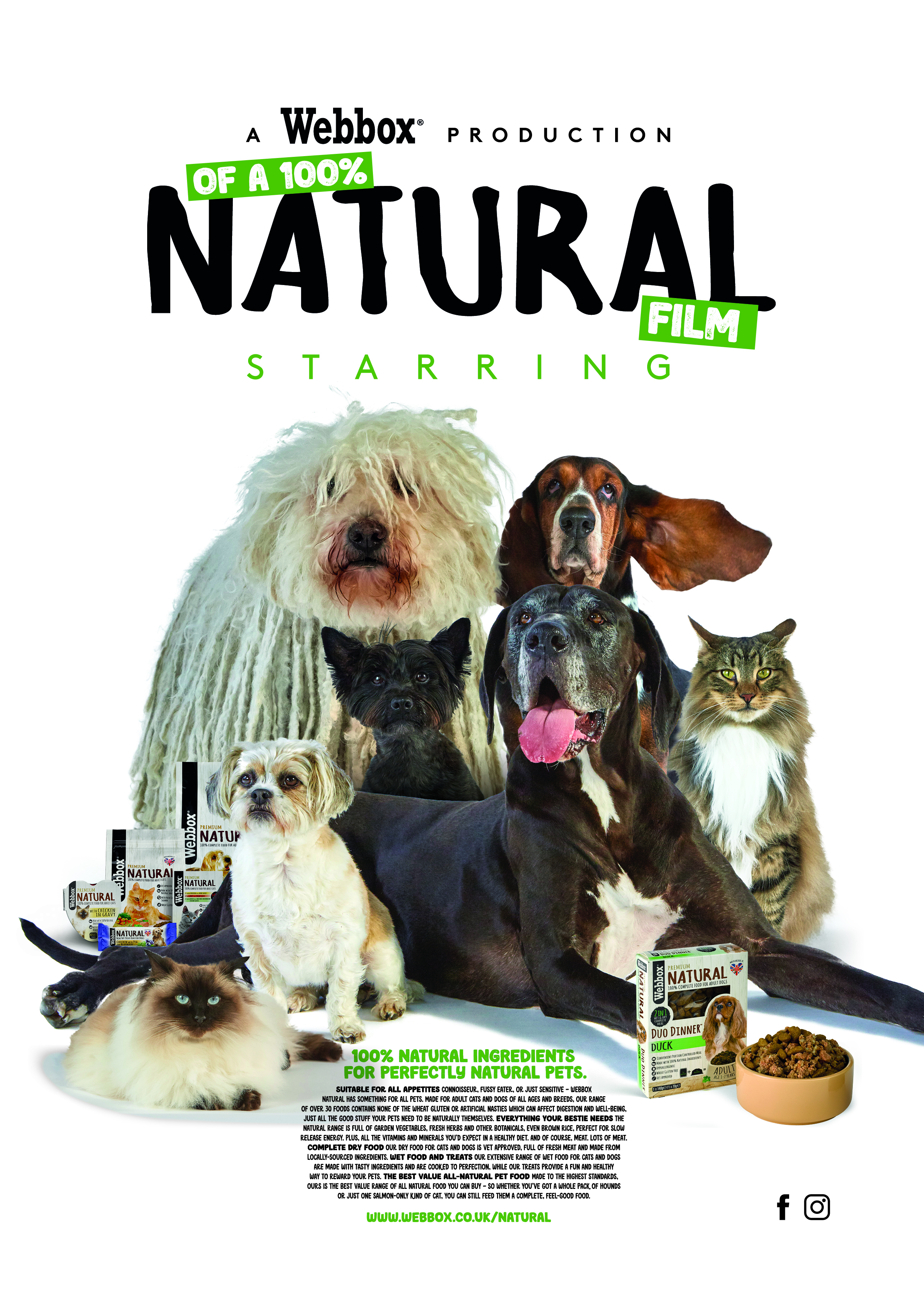 Webbox natural hotsell dog food asda